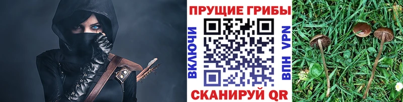 Купить закладки  Кирово-Чепецк  Галлюциногенные грибы прущие грибы 